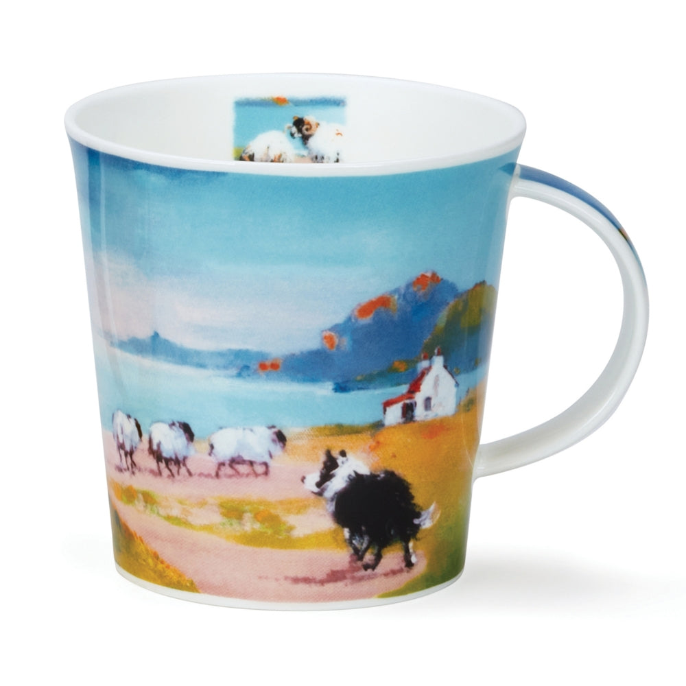 Vega, Dunoon Tasse, CAIR Summer Isles Croft