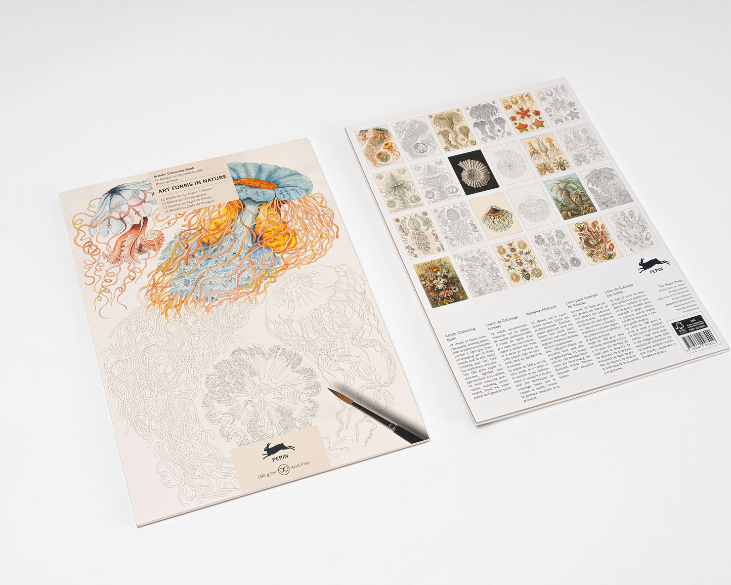Ernst Haeckel, Artists' Malbuch, Art Forms in Nature