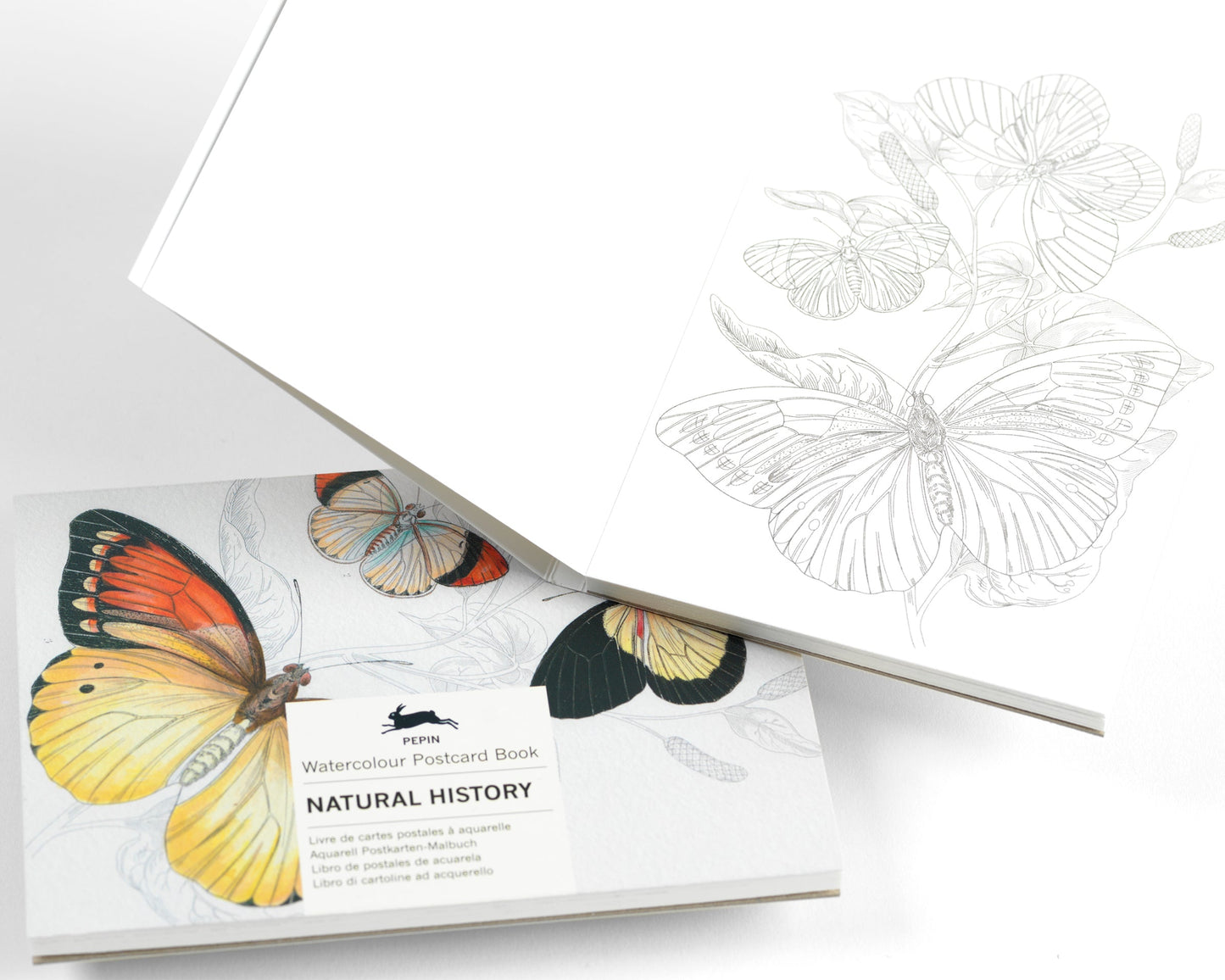 Natural History, Wasserfarben Postkarten Buch