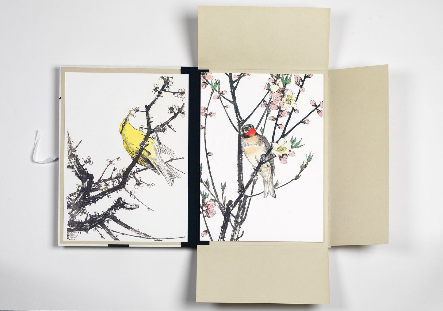 Japan Bird Prints, Art Portfolio