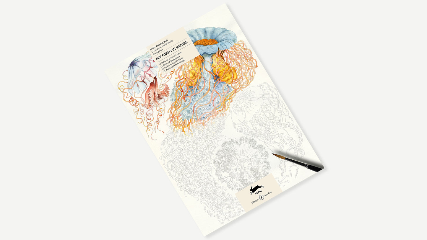 Ernst Haeckel, Artists' Malbuch, Art Forms in Nature