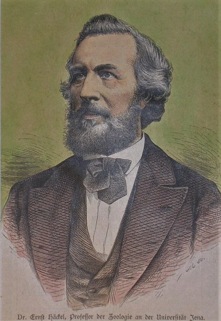 Ernst Haeckel