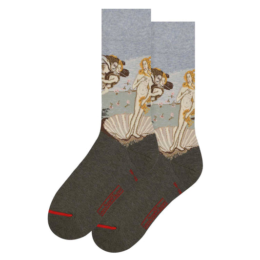 Sandro Botticelli, Socken Geburt der Venus