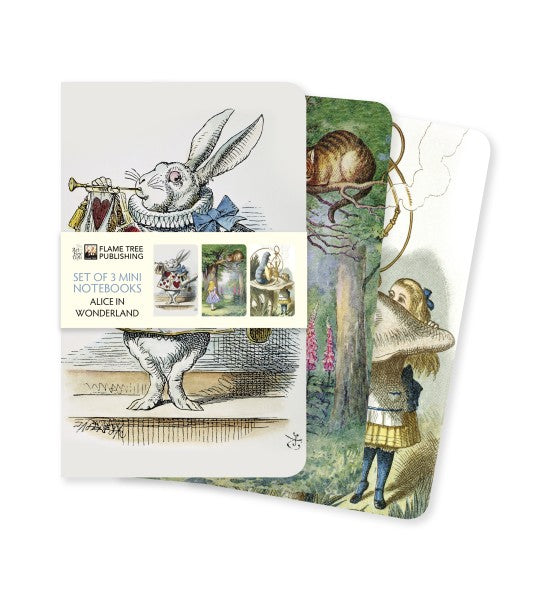 John Tenniel, Set mit 3 Mini Notizheften, Alice in Wonderland